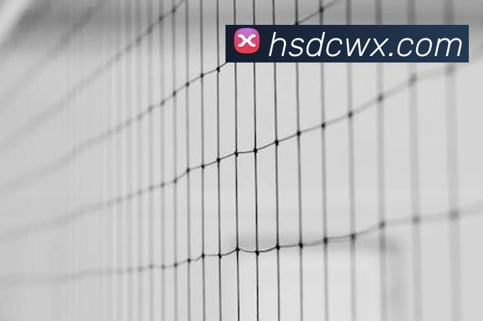 九游官网发展历程