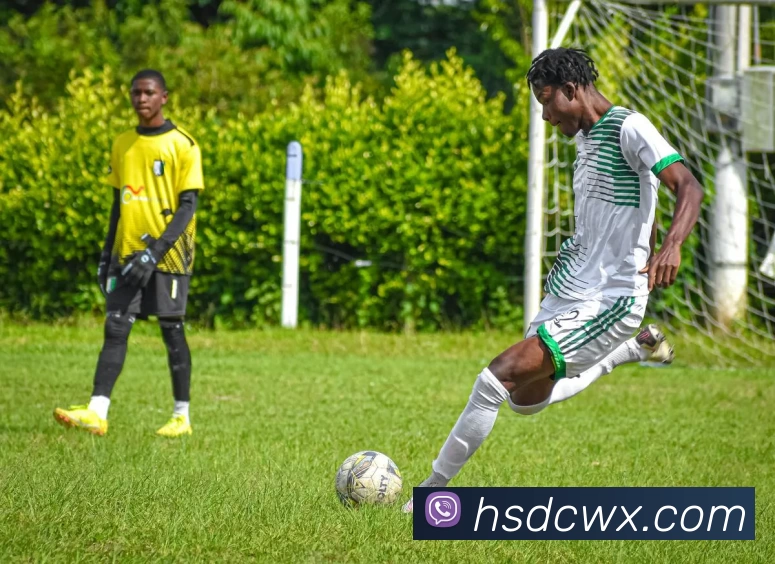 App Interface Preview